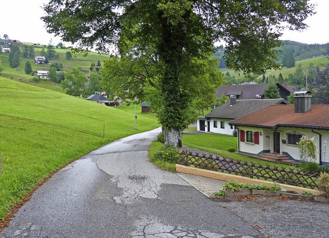 Die Hohfelsstrae  schlngelt sich vor... und Platz fr 15 Baupltze schaffen.   | Foto: Sattelberger