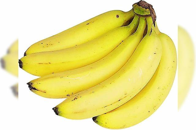 Forscher sorgen sich um die Banane