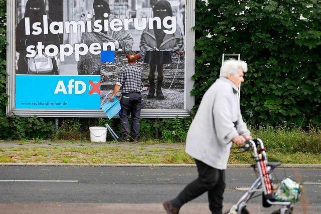 Neue Umfrage sieht AfD im Sdwesten im Aufwind, SPD bei 17 Prozent