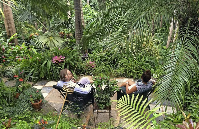 Ein Traum in Grn: Hunte&#8217;s Garden auf Barbados  | Foto: Martin Cyris