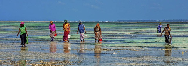 Eines von vielen tollen Urlaubsfotos &...nsibar Johannes Meier aus Schallstadt.  | Foto: Leser