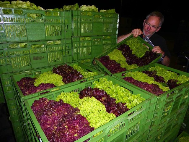 Der Grnzeug-Experte: Jrgen Villinger sichtet Salate.  | Foto: Peter Stellmach