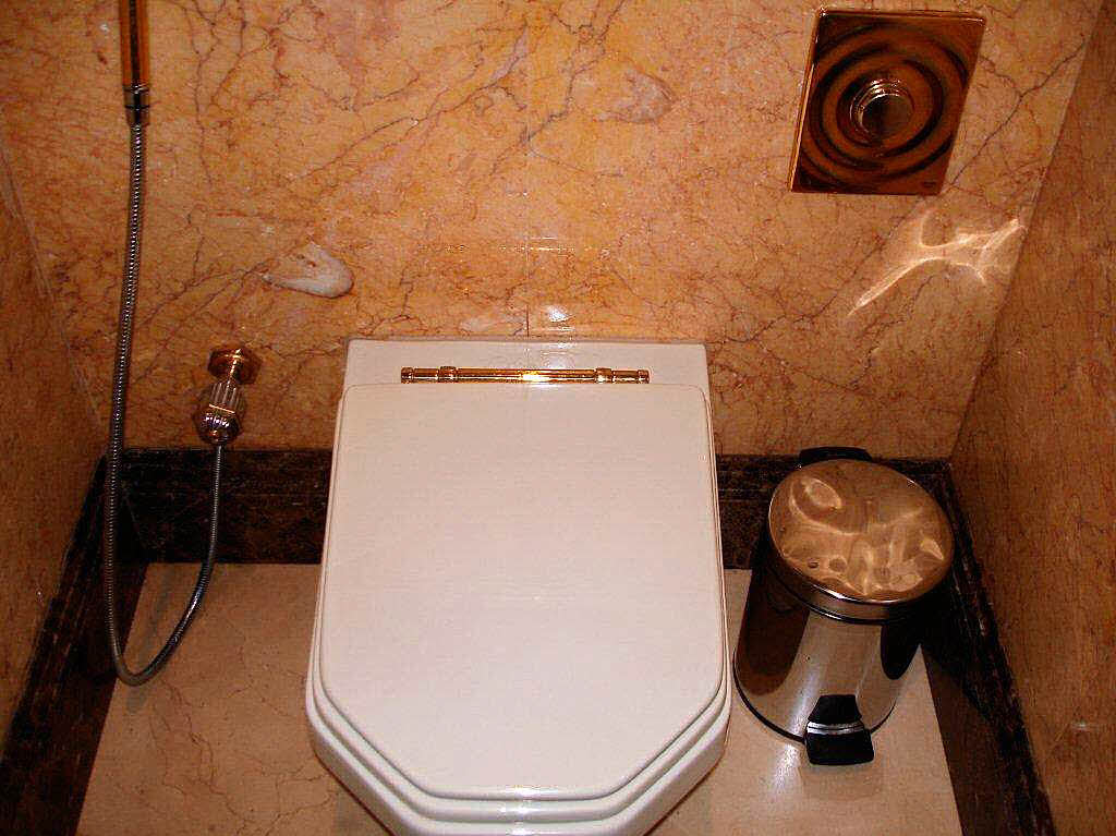 Gertrud Anders: Toilette im Emirates Palace in Abu Dhabi, aufgenommen im Februar 2009.