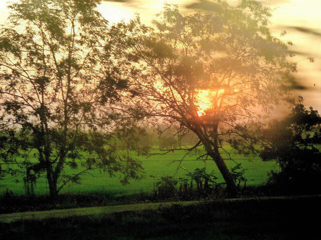 Markus Schmidle: Aufgenommen 2012 im Zug von Chinag Rai (Thailand) nach Bangkog. Ein goldener Sonnenaufgang am Ende der Nachfahrt im Zug.