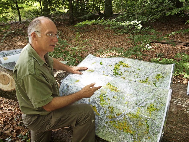 Der Kenzinger Revierfrster Johannes K... Erderwrmung fr die Forstwirtschaft.  | Foto: Michael Haberer