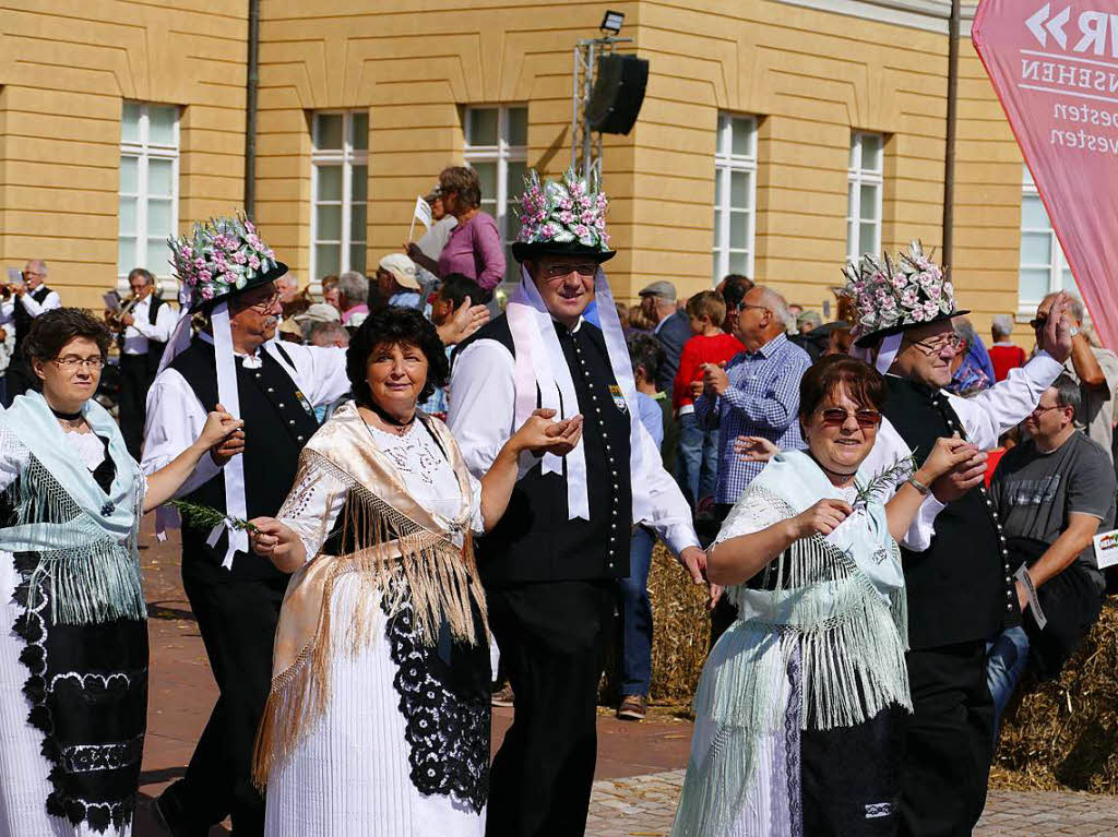 Impressionen vom Landesfestumzug in Karlsruhe, dem diesjhrigen Ausrichter der Heimattage Baden-Wrttemberg.