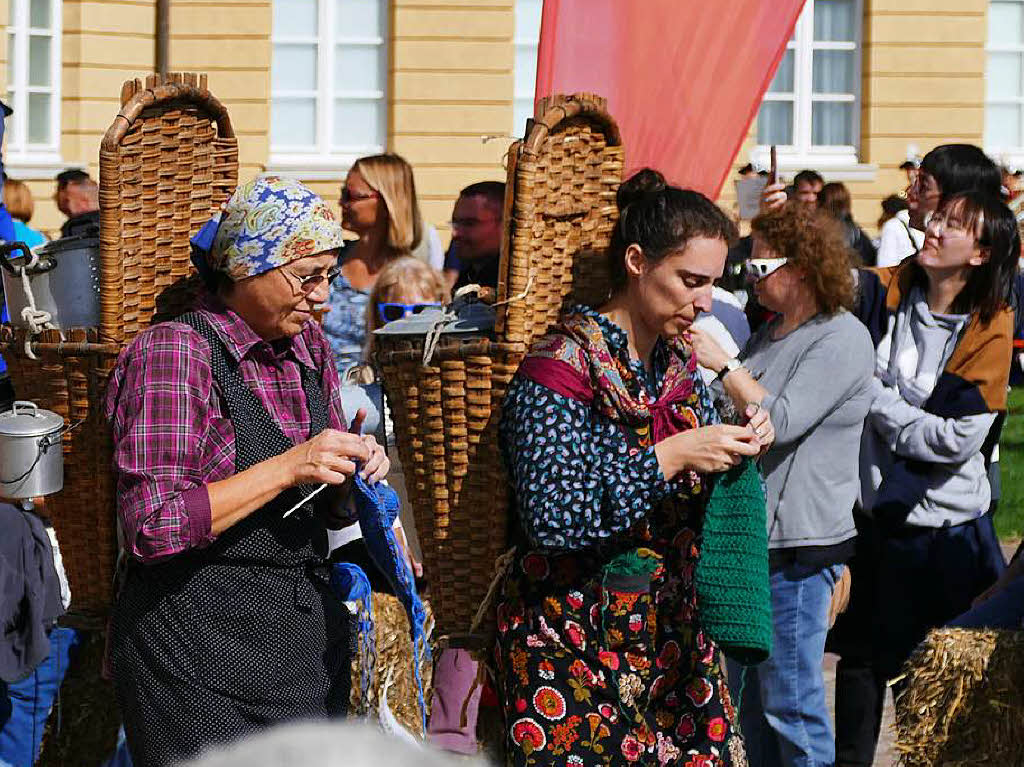 Impressionen vom Landesfestumzug in Karlsruhe, dem diesjhrigen Ausrichter der Heimattage Baden-Wrttemberg.