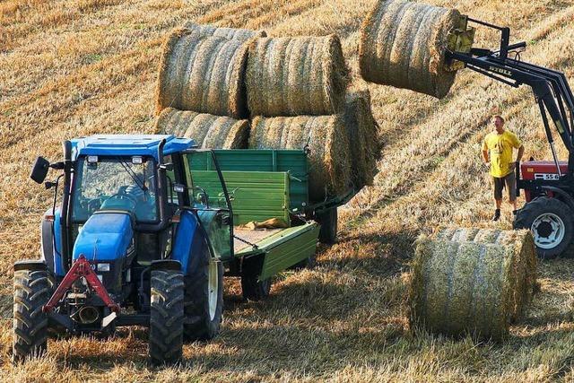 Ballenzhler abmontiert und geklaut