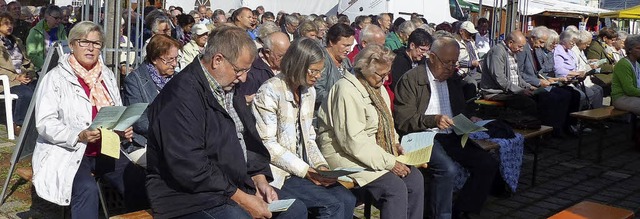 Der kumenische Gottesdienst am Sonntag war gut besucht.  | Foto: Dieter  Fink