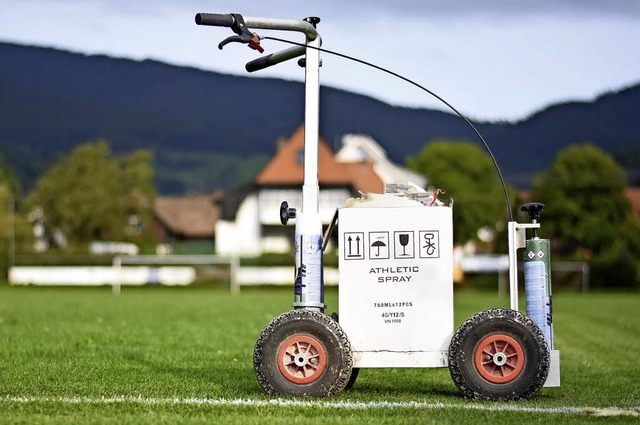 Rasen mhen und Linien ziehen: Sportpltze sind nicht von alleine in Topzustand.  | Foto: Jonas Hirt