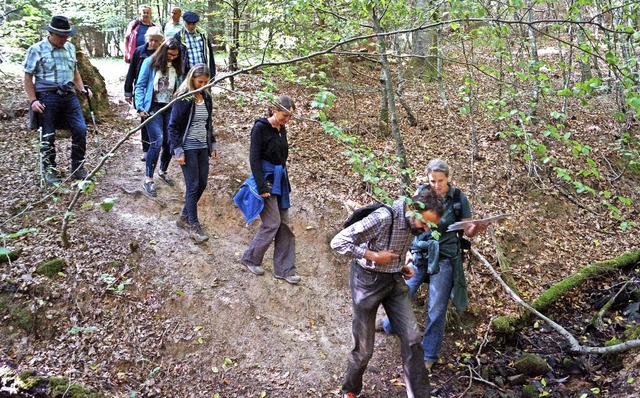 Trittfestigkeit braucht man beim Wandern im  Bannwald.  | Foto: Hartenstein