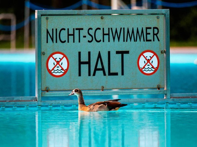 Sie kann beruhigt weiterschwimmen: Nil...mmer-Becken eines Frankfurter Freibads  | Foto: dpa