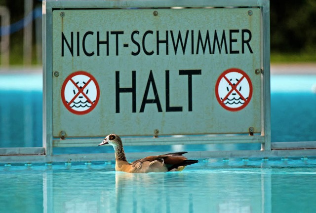 Sie kann beruhigt weiterschwimmen: Nil...mmer-Becken eines Frankfurter Freibads  | Foto: dpa