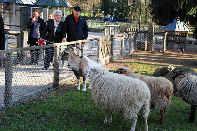 Stadt Lrrach: Tiere sollen im Rosenfelspark bleiben
