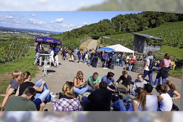 Wlfe, Wein und etwas Woodstock