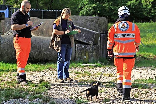 Lebensretter auf vier Beinen werden geprft