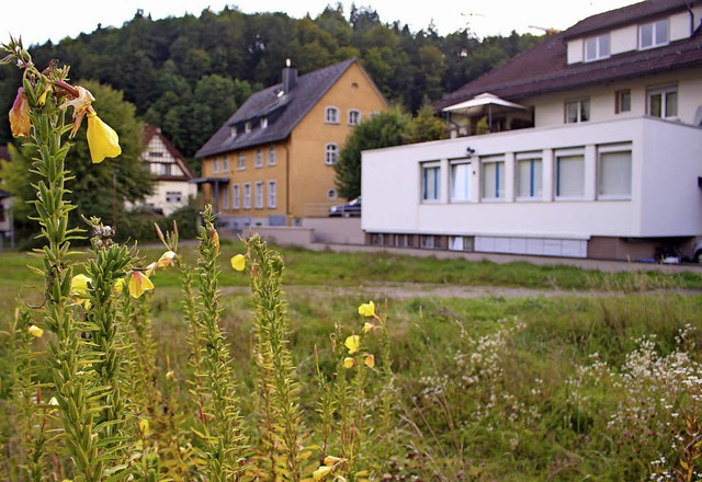 Auf dieser Wiese soll das Haus gebaut ... knapp 3000 Euro/Quadratmeter kosten.   | Foto: anja Bertsch