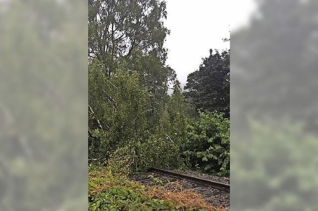 Sturm legt die Bahn lahm