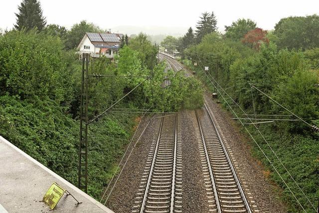 Baum blockiert Rheintalbahn