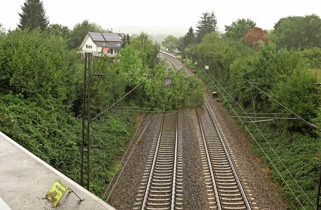 Mehrere Stunden lang war die Bahnstrec...marsreute durch einen Baum blockiert.   | Foto: Dieter Erggelet