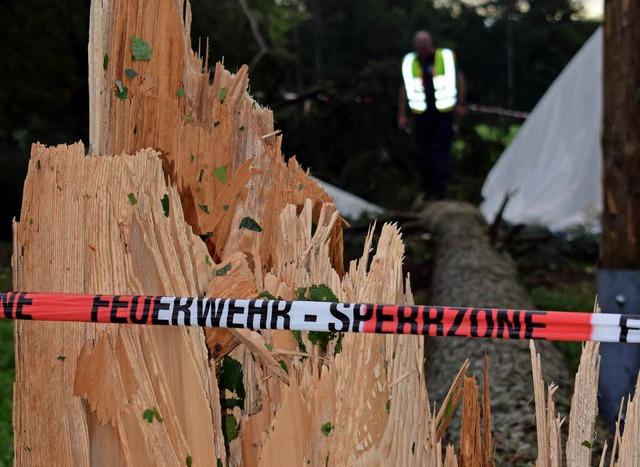 Einer der beim Unglck umgestrzten Bume  | Foto: Michael Krug