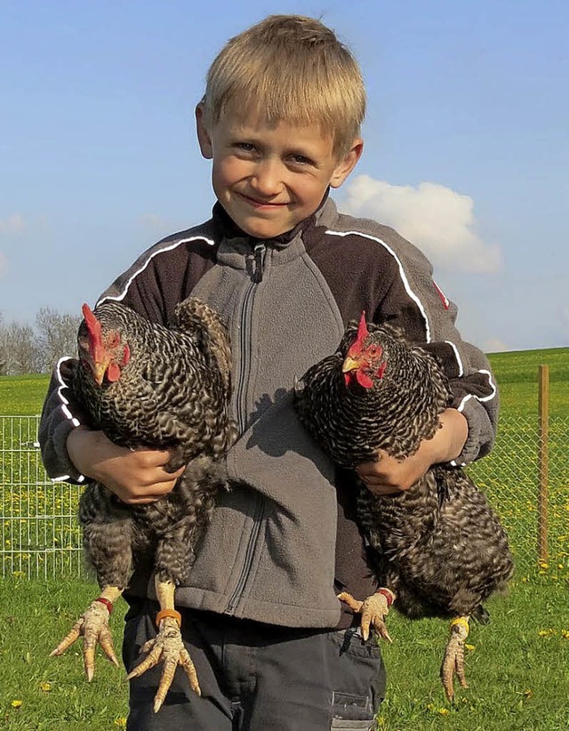 Mirko (8 Jahre) hat ein besonderes   Hobby: die Hhnerhaltung.   | Foto: Cs