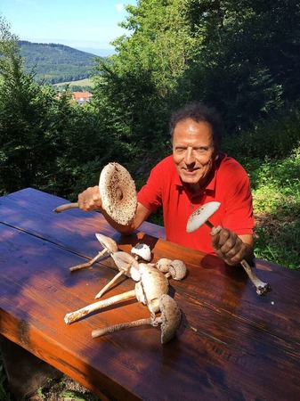 Parasole satt am Hexentalrundweg (Slden)
