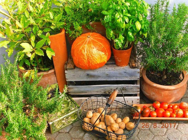 So schmeckt mein Garten (Kappel-Grafenhausen)