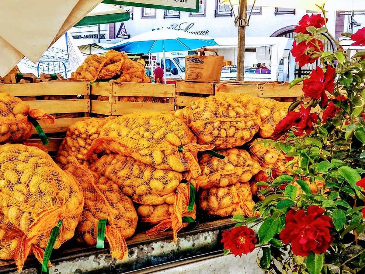 Forchheimer Kartoffeln auf dem Emmendinger Markt (Emmendingen)