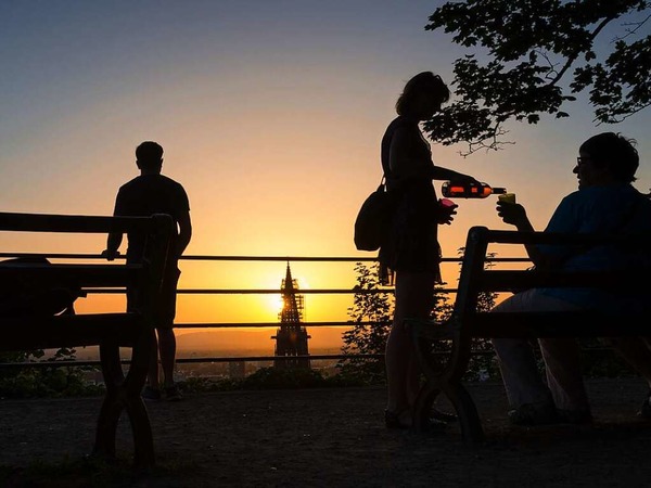 Sommer | Wein | Baden (Freiburg)