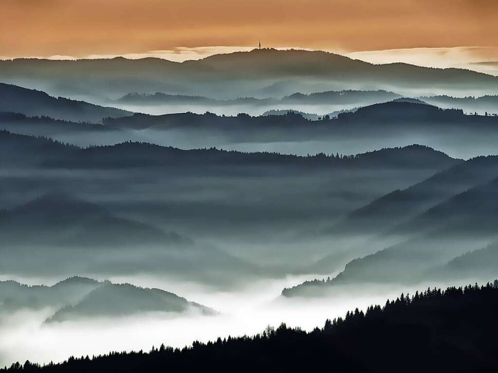 Blick vom Kandel nach Sdwesten (Kandel)