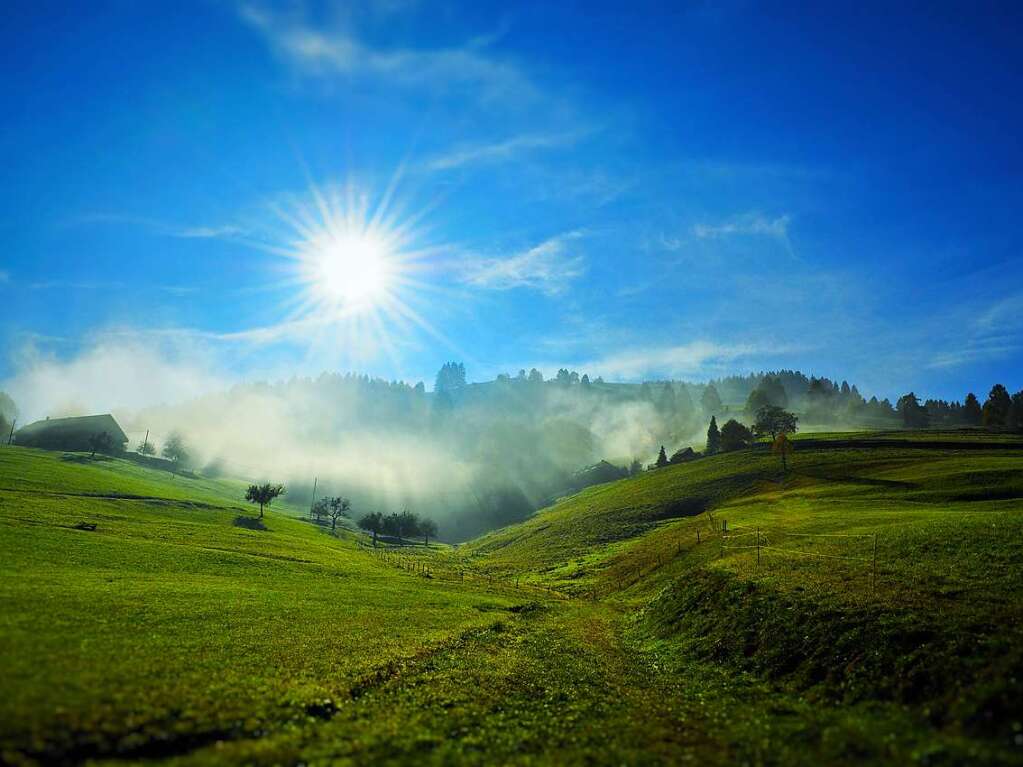 Herbstnebel und Sonne am Branden (Mnstertal)