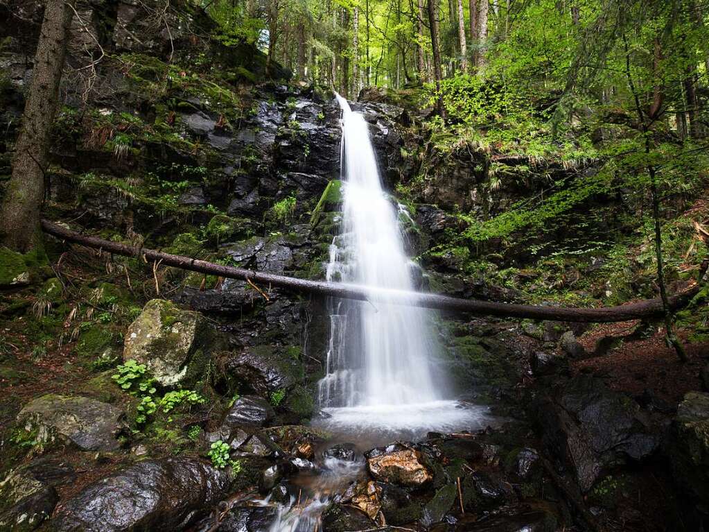 Zweribach-Wasserfall am Kandel (Kandel)