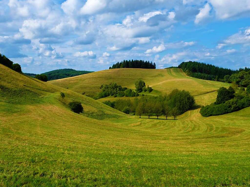 Landschaft am Kaiserstuhl (Kaiserstuhl)