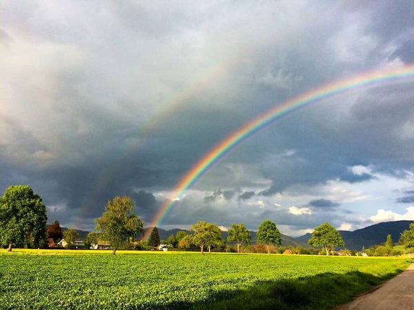 Regenbogen ber dem Dreisamtal (Kirchzarten)