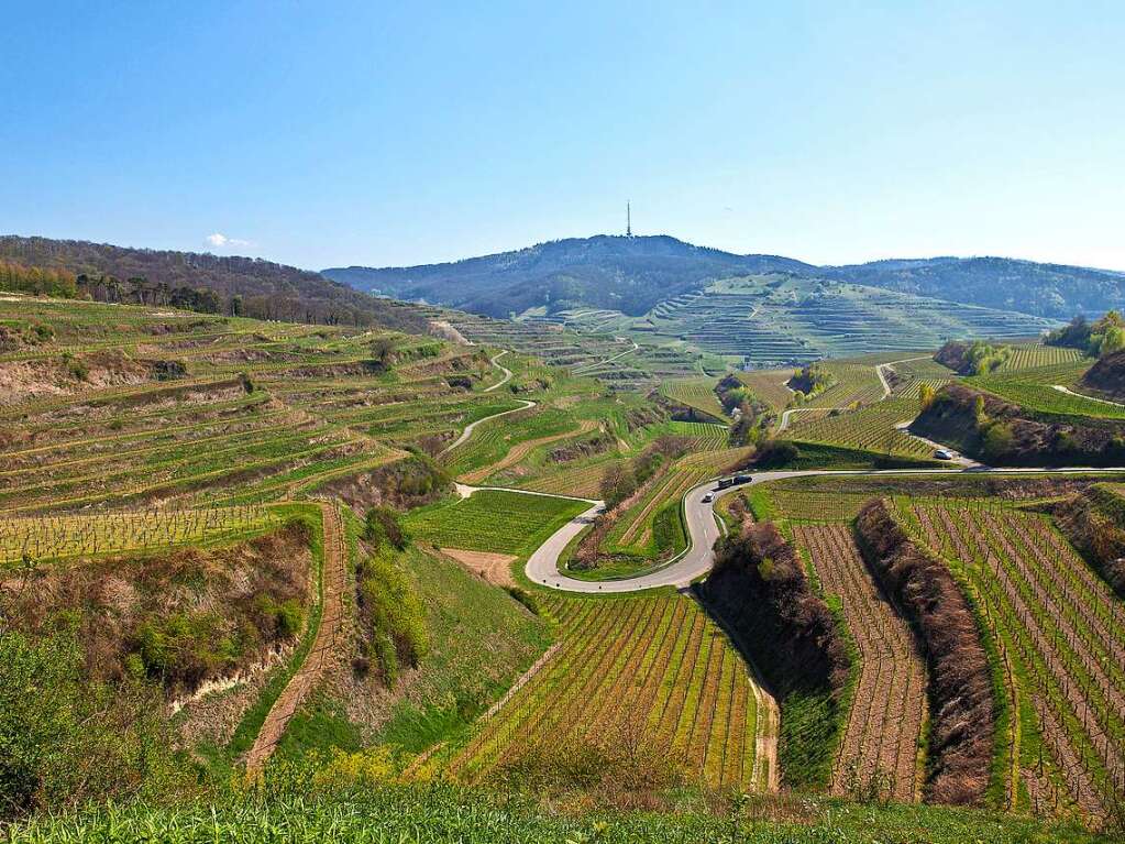 Texas-Pass (Kaiserstuhl)