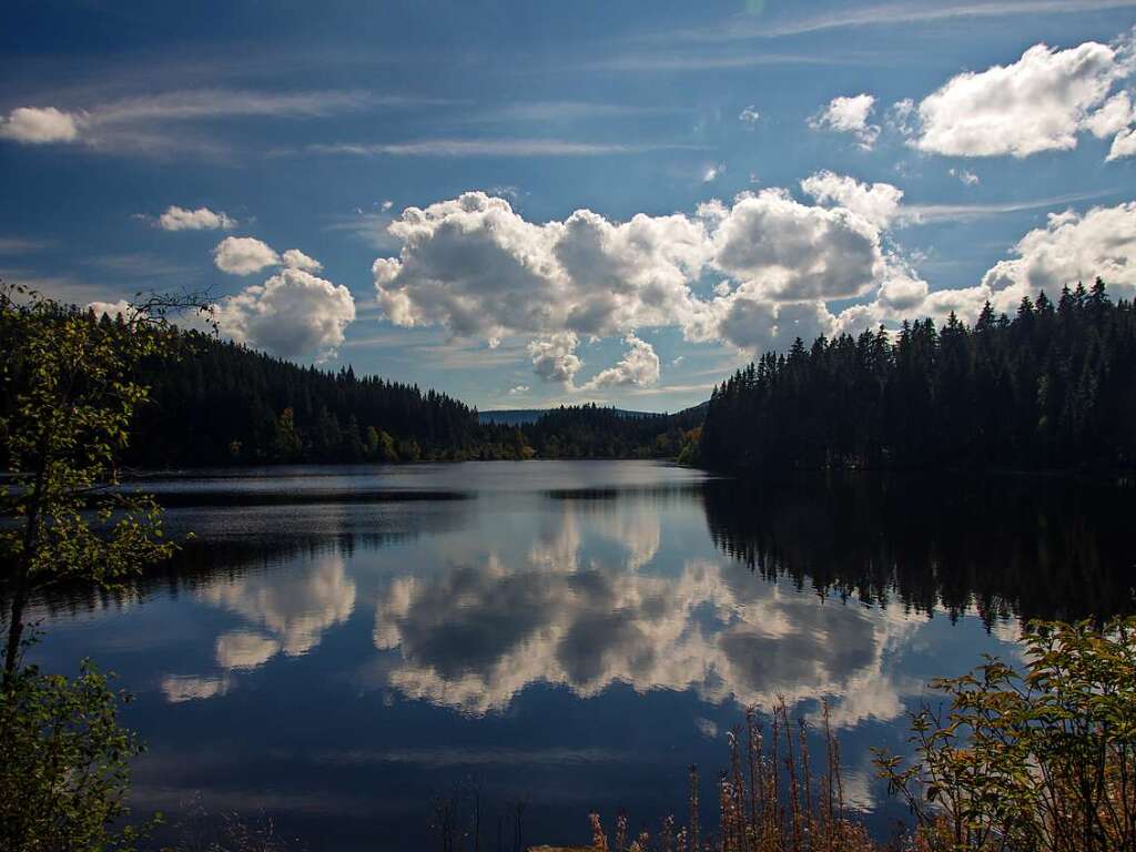 Windgfllweiher (Lenzkirch)