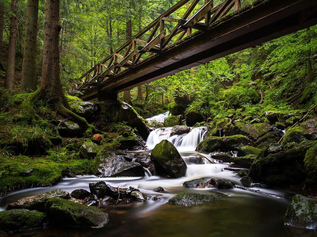 Ravennaschlucht (Ravennaschlucht)