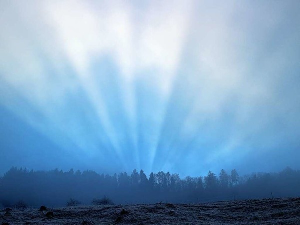 Wanderung in Nebel und Licht (Kandel)