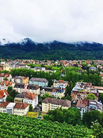 Grn, die Farbe des Lebens (Freiburg)