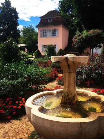 Sommer im Barockgarten (Ettenheim)