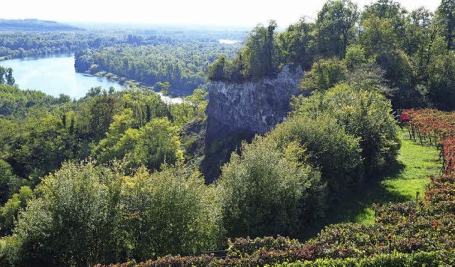 Der Limberg am Rhein bei Sasbach, ein ...ern auch landschaftlich interessant.    | Foto: Archivfoto: Bettina Bizer-Polidori