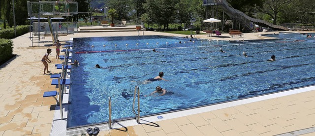 Das Familienbad in Seelbach war in diesem Jahr etwas besser besucht als 2016.   | Foto: Christoph Breithaupt