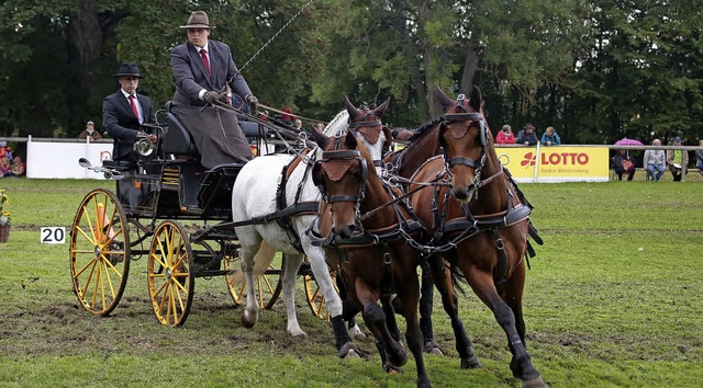 Groen Anklang fanden die Kutschfahrwe...t- und Fahrturnier in Donaueschingen.   | Foto: Mller