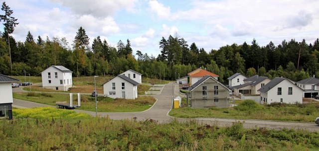 Zehn Baupltze sind im Gebiet Bergstad... Caf dort niederlsst, ist ungewiss.   | Foto: Dana Coordes