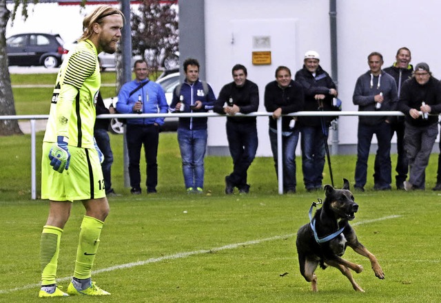 <BZ-FotoAnlauf>Verbandsliga:</BZ-FotoA...ussten in Auggen vorzeitig vom Platz.   | Foto: Hecht