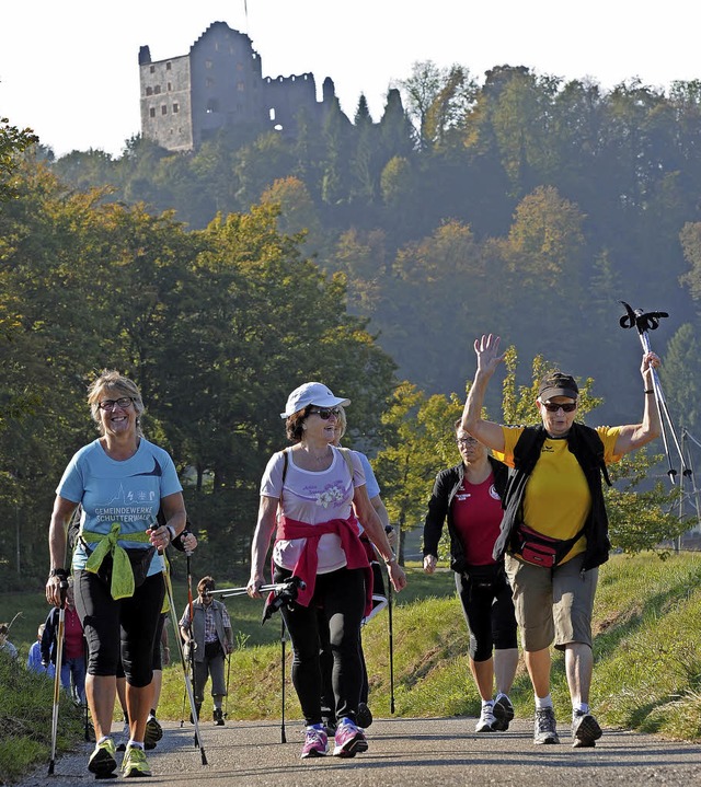 Wandern, Walken oder Joggen &#8211; de...r Gruppe zum Beispiel beim Lauf 2014.   | Foto: B. Schaller