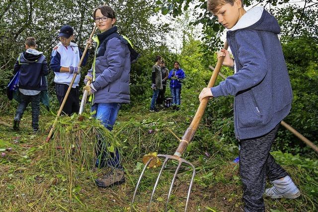 Biotoppflege wird zur Herzenssache