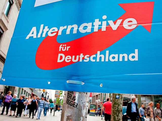Was ist von einer AfD im deutschen Bundestag zu erwarten?  | Foto: dpa