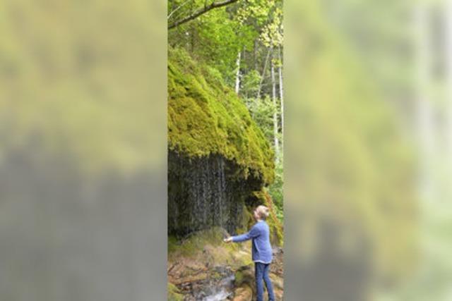 Wanderung in der Wutachschlucht